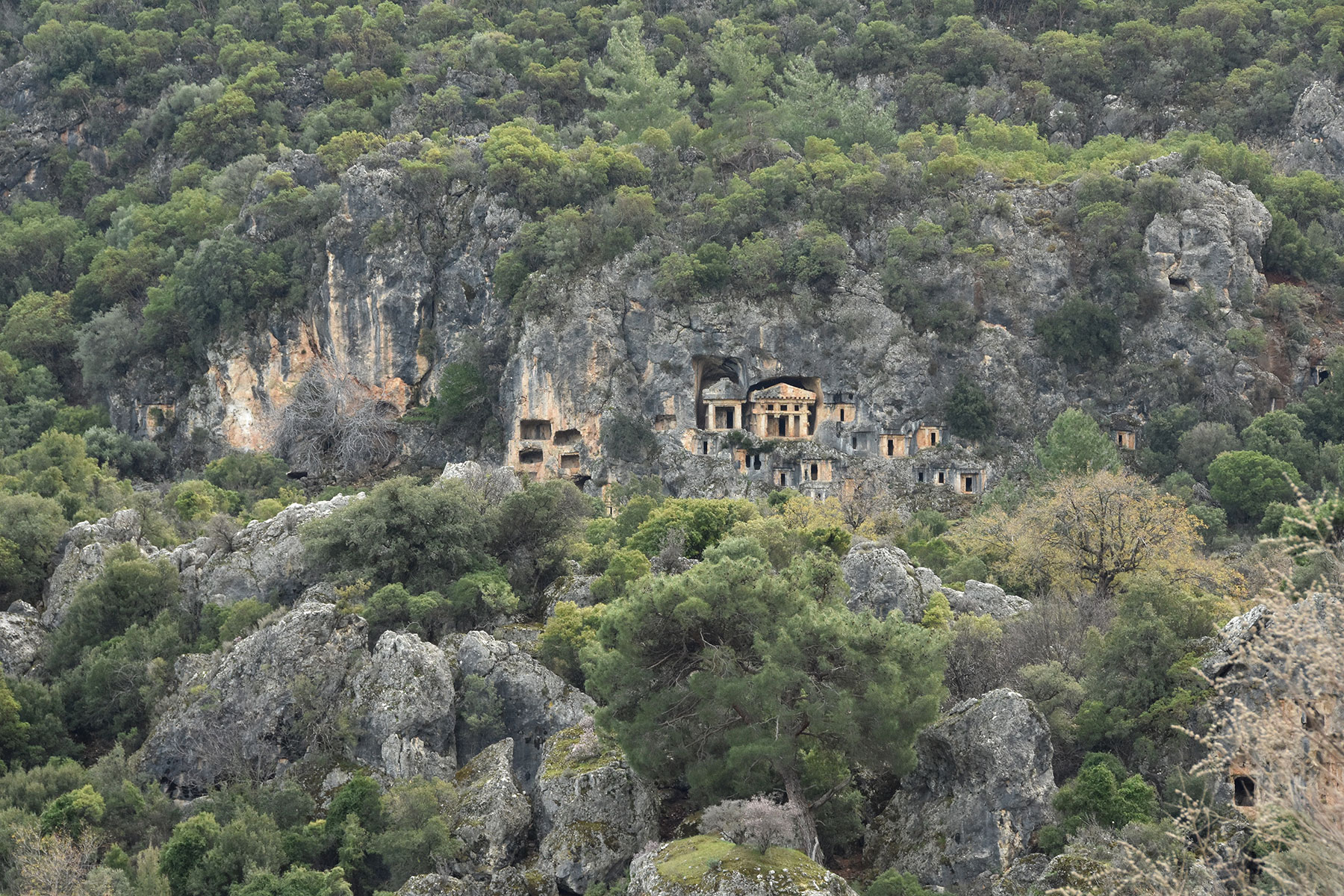 Pinara Antique City, Arifler